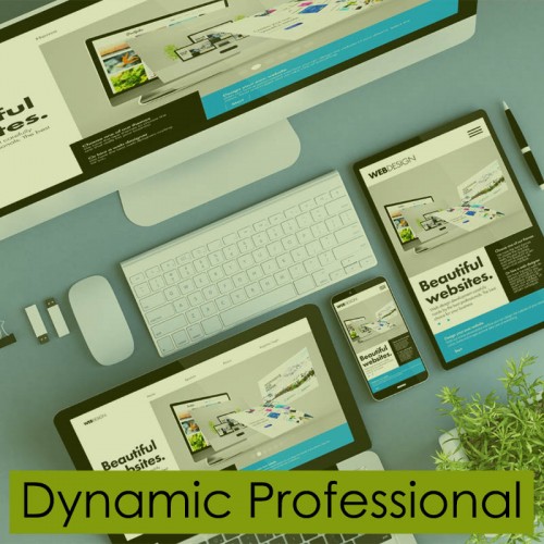 Δυναμική Ιστοσελίδα "Dynamic Professional"