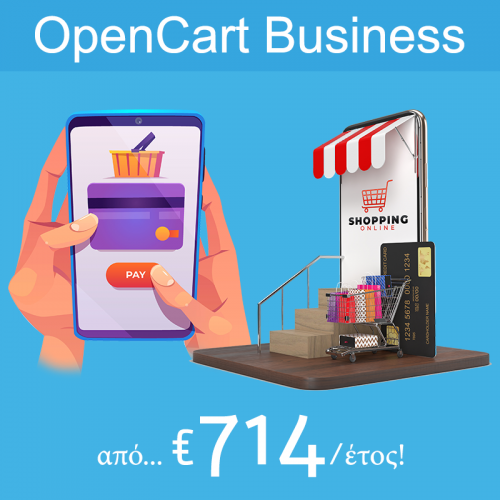OpenCart Business Plan
