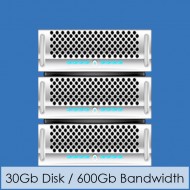 Business Platinum Web Hosting