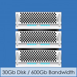 Business Platinum Web Hosting