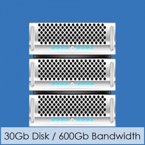 Business Platinum Web Hosting Business Platinum Web Hosting